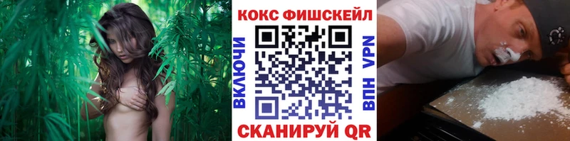 как найти наркотики  Белебей  COCAIN 97% 