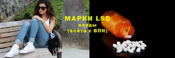 mdma Новозыбков