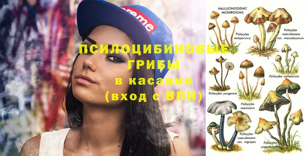 круглые Бородино