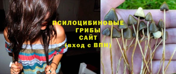 гашик Богданович