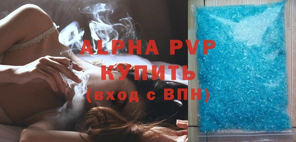 гидра Белокуриха