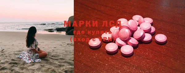 гашик Богданович