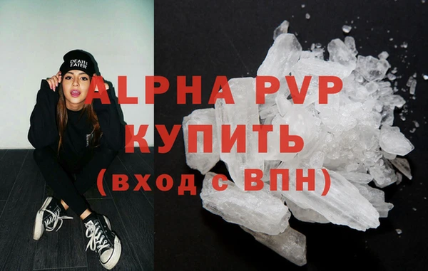 гашик Богданович