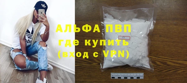 гашик Богданович