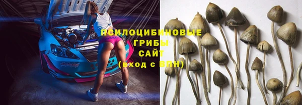 метадон Богородск