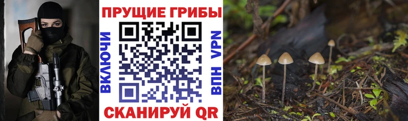 Галлюциногенные грибы ЛСД  где можно купить   даркнет состав  Белебей 